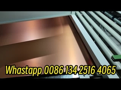 Ab Lijmpotmachine voor honingraatpaneel Voldoen aan de eisen van de klant